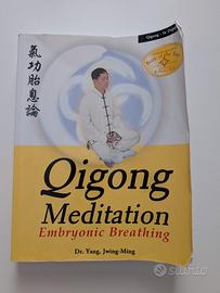 Qigong Meditation Embryonic Breathing (eng,1ª ed.)