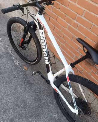 mtb bianchi carbon 29'
