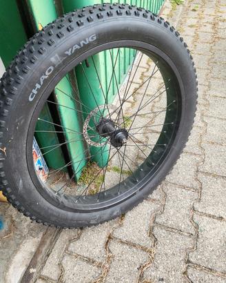 bici elettrica 
