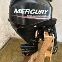 Mercury 25 EFI