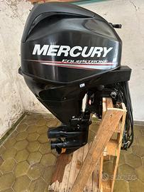 Mercury 25 EFI
