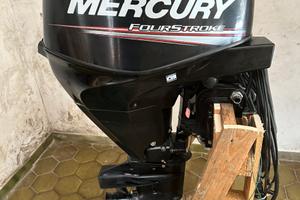 Mercury 25 EFI