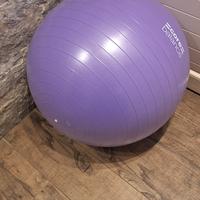 Fit ball - fitness 