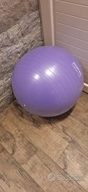 Fit ball - fitness 