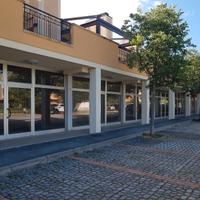 Locale per attivita' commerciale