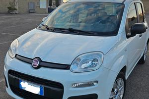 FIAT Panda 1.3 MultiJet 95 CV Easy