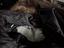 Immagine 4