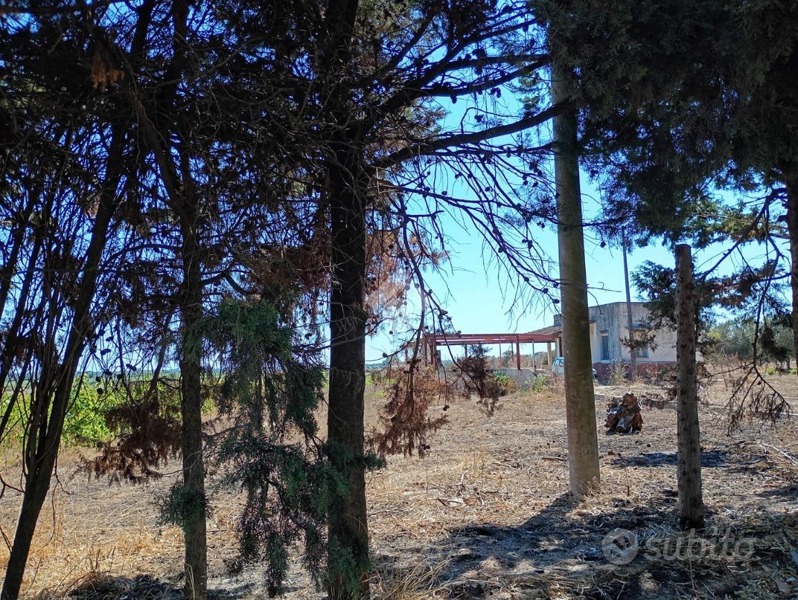 TER. AGRICOLO A BRINDISI - Vista 3