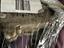 Immagine 5