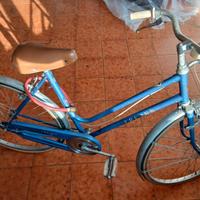 Bicicletta Frejus
