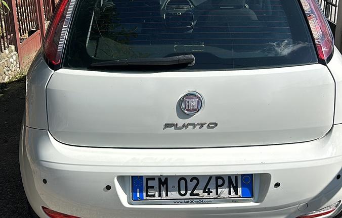 fiat punto