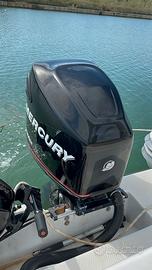 Mercury Optimax 200 XL anno 2009