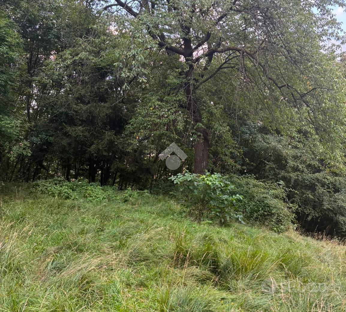 TERRENO A LOSINE - Altro