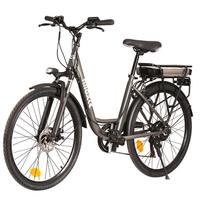 Bicicletta Elettrica Citybike - batteria al litio