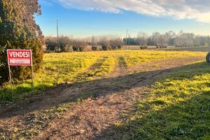 Terreno edificabile 1400mq