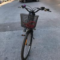 Pedalata assistita