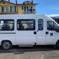 Ducato 13 posti + 1 carrozzina
