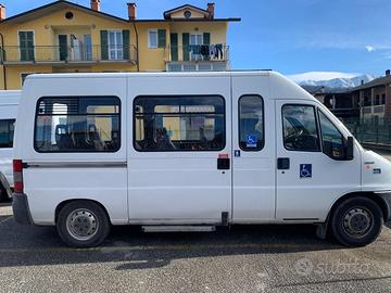 Ducato 13 posti + 1 carrozzina