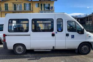 Ducato 13 posti + 1 carrozzina