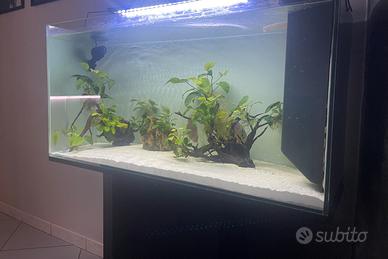 Acquario completo