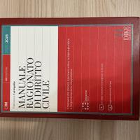 Manuale ragionato di diritto civile 2025/2026