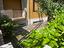 Immagine 12