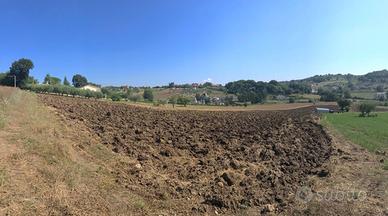 Terreno edificabile