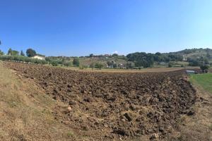 Terreno edificabile