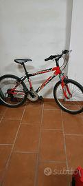 Mountain Bike X-Fire GP240 – Ruote 24”