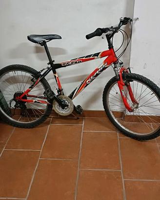 Mountain Bike X-Fire GP240 – Ruote 24”