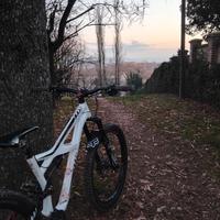 Specialized Enduro comp