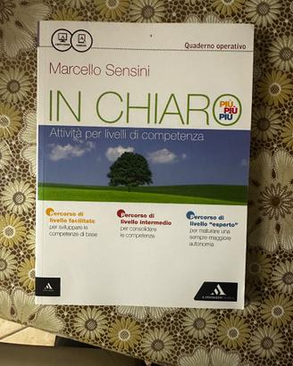 IN CHIARO MARCELLO SENSI