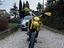 Immagine 3