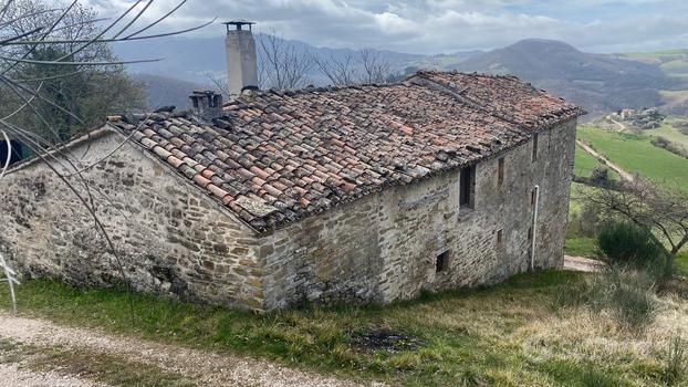 Azienda agricola biologica di 46,5 Ha con casale