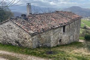 Azienda agricola biologica di 46,5 Ha con casale
