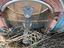 Immagine 1