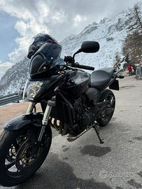 Honda hornet