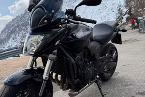 Honda hornet