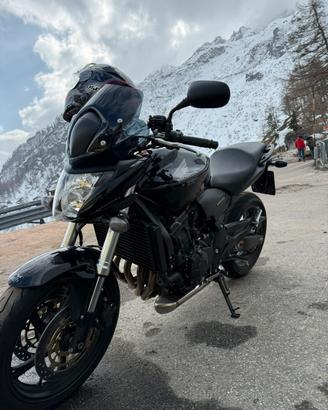 Honda hornet