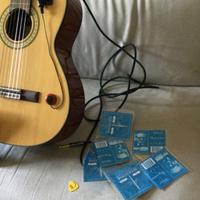 Chitarra Estebhan