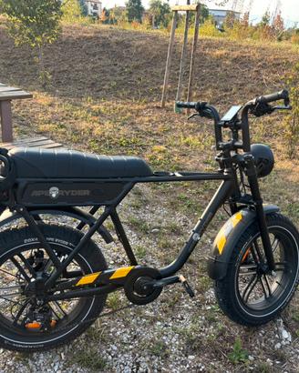 Bici elettrica