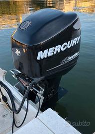 Mercury optimax 115 iniezione