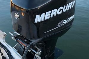Mercury optimax 115 iniezione