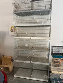 Gabbia uccelli gabbie da cova canarino voliera