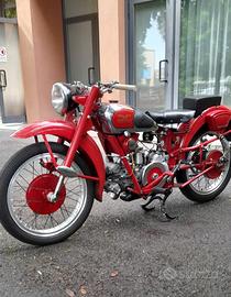 Moto Guzzi Airone Sport 250 - 1951