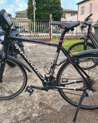 bici uomo .Cannondale 
