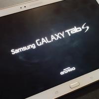 tab Samsung galaxy s