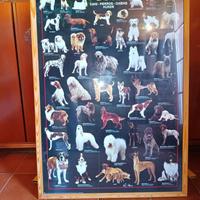 POSTER CON CORNICE