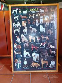 POSTER CON CORNICE