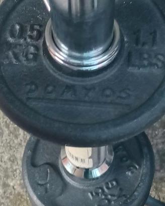 pesi professionali per palestra 